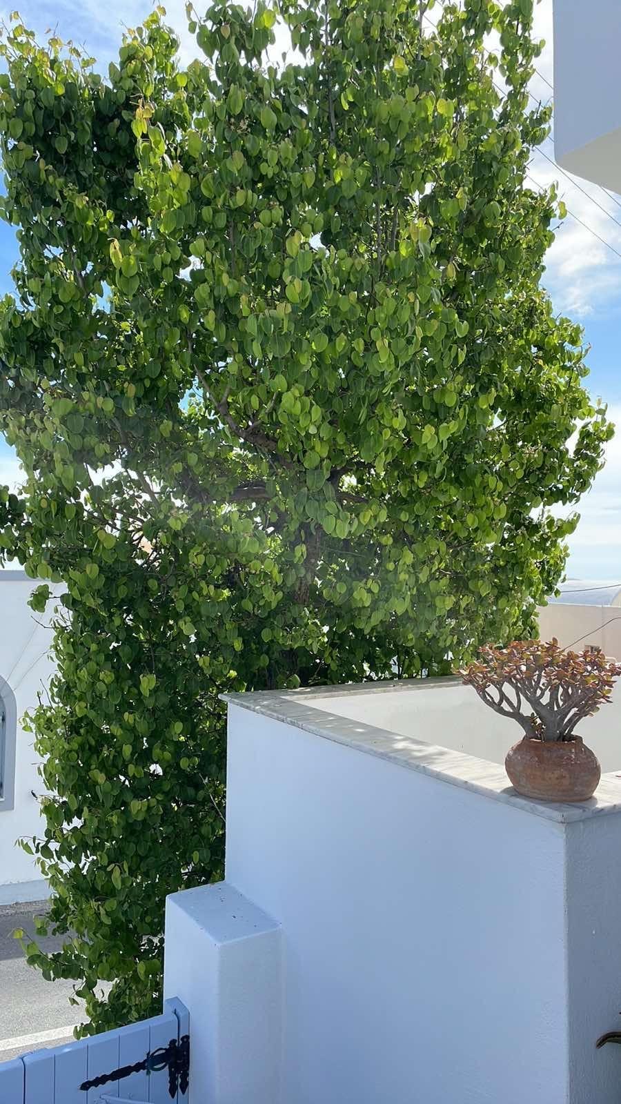 Elkaza Villas Fira  Exterior photo